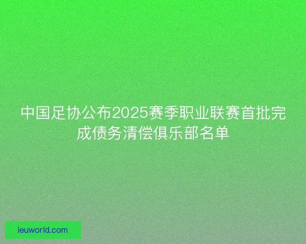 中国足协公布2025赛季职业联赛首批完成债务清偿俱乐部名单